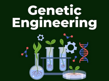 Chapter 2: Genetic Engineering